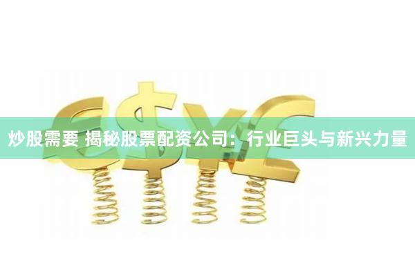 炒股需要 揭秘股票配资公司：行业巨头与新兴力量