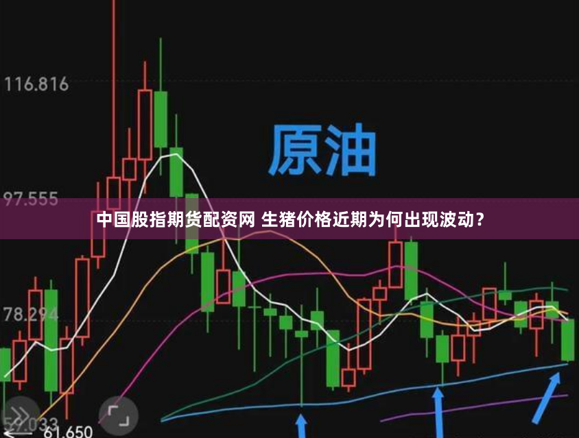 中国股指期货配资网 生猪价格近期为何出现波动？