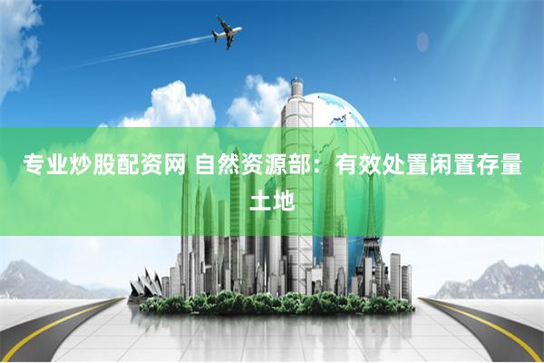 专业炒股配资网 自然资源部：有效处置闲置存量土地